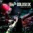 GOLOSKOK