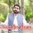 Aoun Hussain Bandialvi