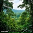 drownerbridge