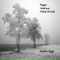 Roger Andreas Fiskerstrand