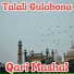 Qari Mashal