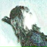 malvi