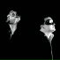 Florian Chaigne, Cyril Trochu