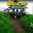 ຄຳເພ າ ຕະກ ອກ