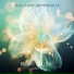 Guillaume Dambreville