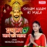 Nisha Rajasthani feat. Saani