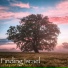 Finding Israel