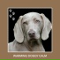 Relaxing Dog Music