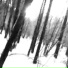 Amae