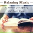 Justin Memory & Anxiety Relief