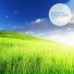 Ecoico