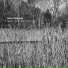 Henry Threadgill