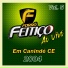 BANDA FORRÓ FEITIÇO