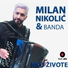 Milan Nikolić, Banda
