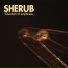 Sherub