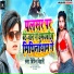 Bipin Bihari