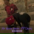 ShonDon feat. FP Devo