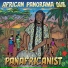 The Panafricanist