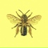 PHantastic Bee