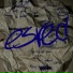 esved