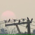 3rd Bird