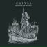Calyss