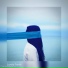 Damir Music n