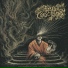 Umbra Conscientia