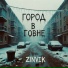 Zinvik