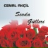 Cemal Akçil