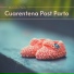 Embarazo Musica