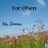 Tor Olsen