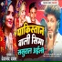Devanand Dabang