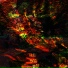 RXDLE