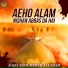 Agha Syed Meher Ali Shah