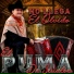El Puma De Sinaloa