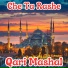 Qari Mashal