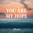APmuse