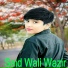 Said Wali Wazir