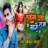 Mithun Yadav