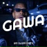 WIZ ALASS CAM'S