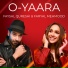 Shany Haider feat. Faysal Qureshi, Faryal Mehmood