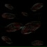 ? BXDNESS ?, DcB368
