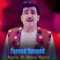 Fareed Naveed