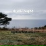 Mellow Melodies