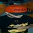 ozan official
