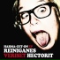 Reiniganes