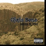 Chris Bone