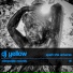 DJ Yellow