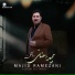 Majid Ramezani